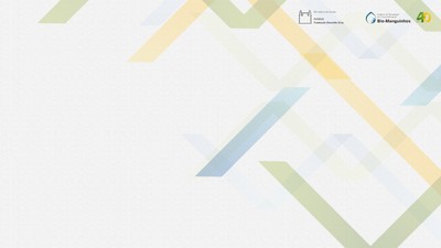 fundo de tela portal neutro