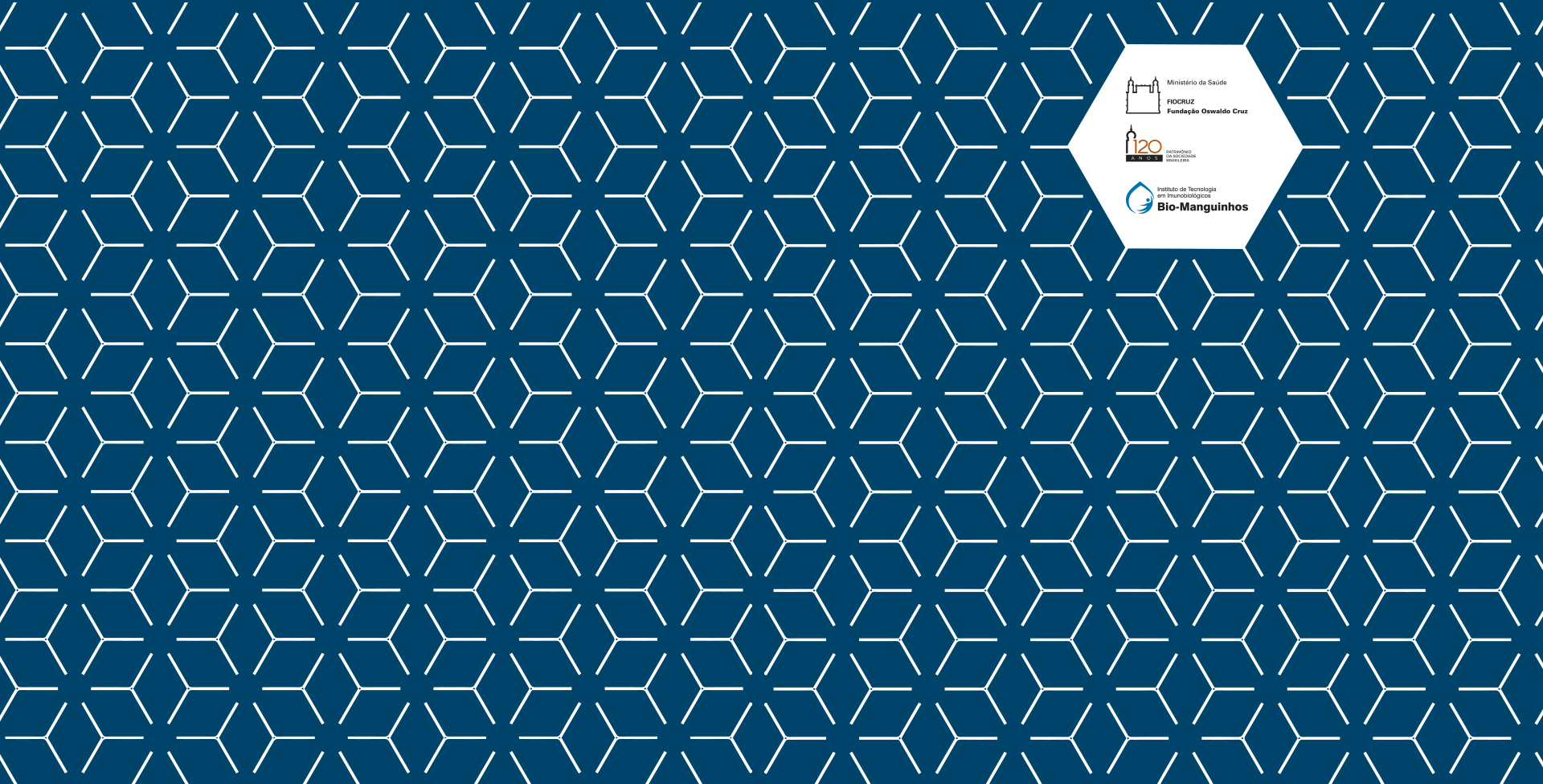 fundo portal novo 2019